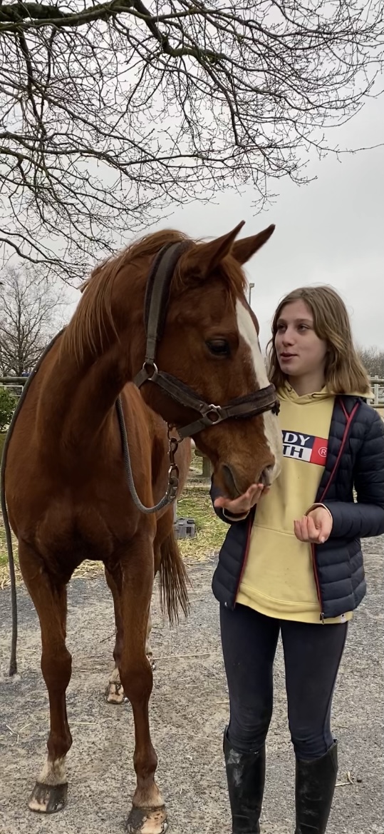 élève de sport étude équitation