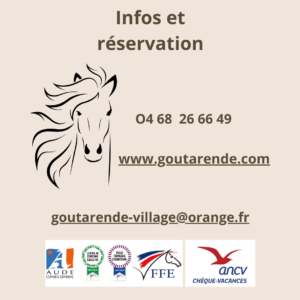 stage équitation carcassonne vacances août