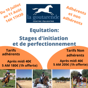 Stage équitation carcassonne
