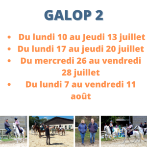 Stage équitation carcassonne