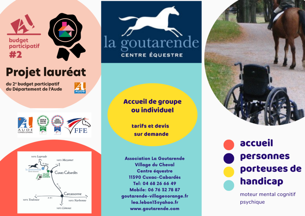 Handicap Famille mobilité réduite équithérapie équicienne équicien personnes âgées calèche attelage Stage équitation initiation perfectionnement dressage CSO travail à pied  travail en main longe pony games attelage calèche balade